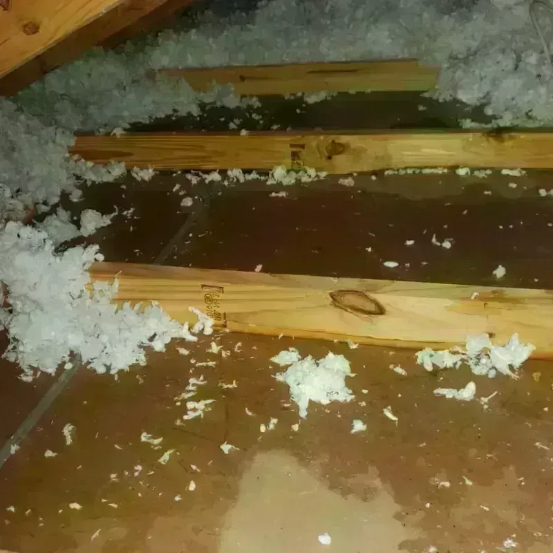 Attic Water Damage in Springfield, CO