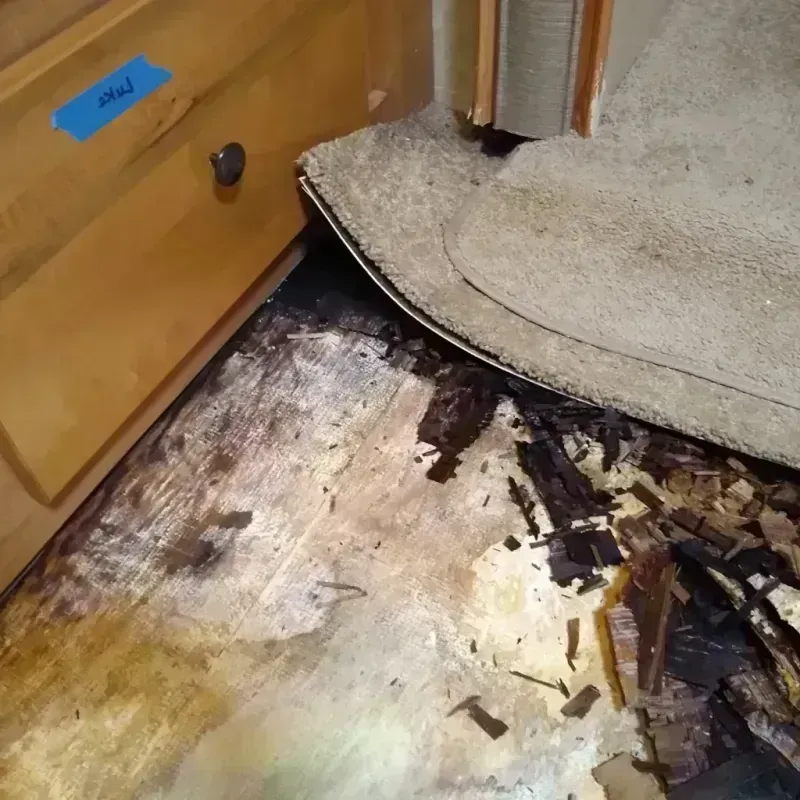 Best Wood Floor Water Damage Service in Springfield, CO